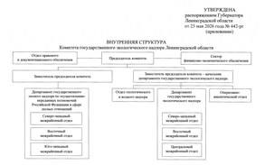 Структура Комитета