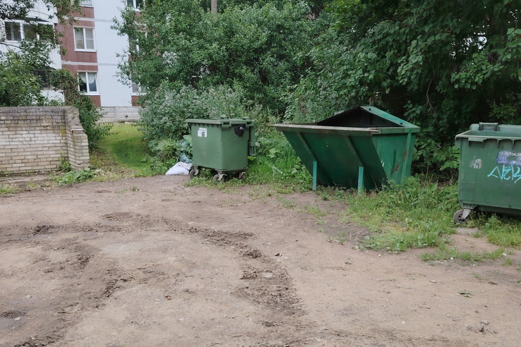 В Ивангороде ликвидирована свалка у контейнерной площадки