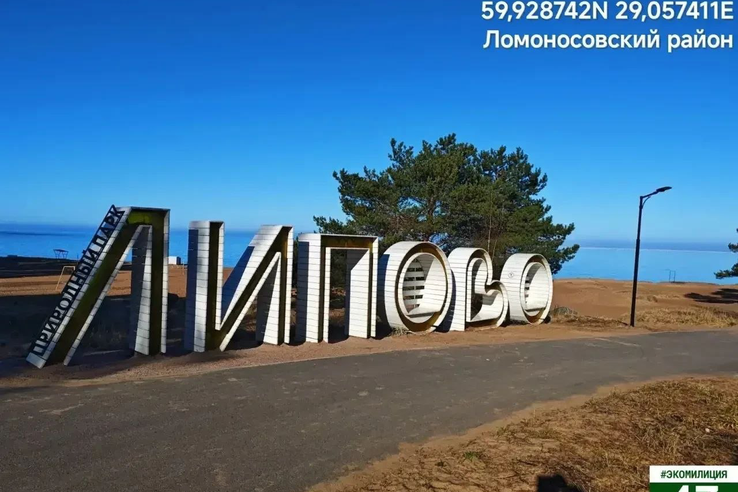 Ситуация в Липово под контролем председателя Эконадзора.