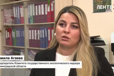 В лесах Ленинградской области работают 92 фотоловушки, которые помогают выявлять нарушителей, устраивающих незаконные мусорные свалки.