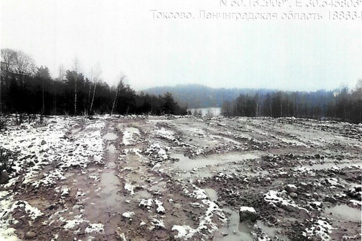 Владелец участка в Токсово навел порядок!