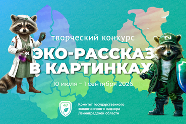 Итоги конкурса «Эко-рассказ в картинках»
