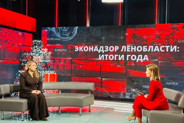 Реальные истории, яркие примеры и практические рекомендации