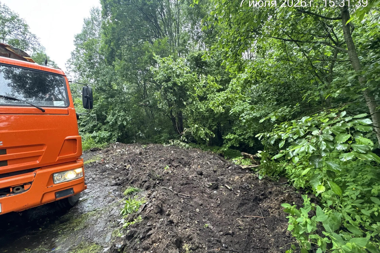 В пяти населенных пунктах Ленинградской области ликвидированы свалки