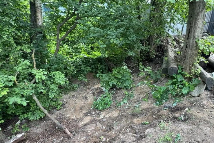 В Мурино ликвидирована несанкционированная свалка