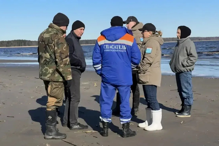 Уважаемые жители Ленинградской области!