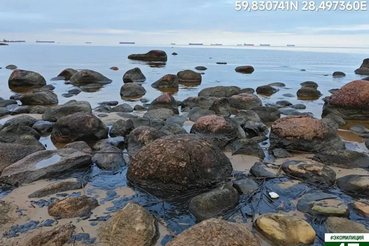 Уважаемые жители Ленинградской области!