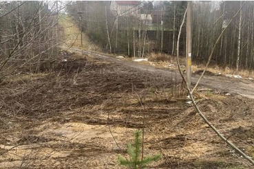 Минус одна свалка в Кузьмолово.