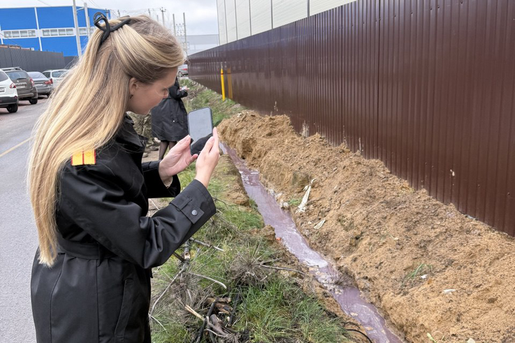 Комитетом госэконадзора выдано предписание собственнику участка во Всеволожском районе,