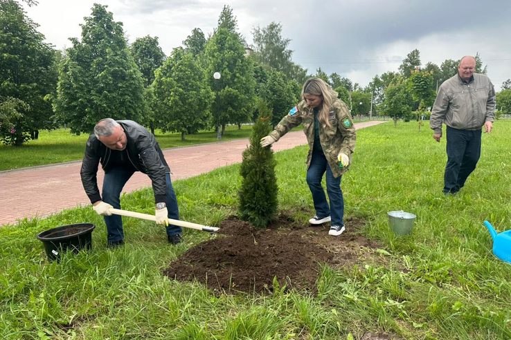В Тихвине прошла акция по посадке деревьев
