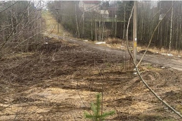 Минус одна свалка в Кузьмолово.