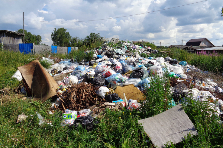 Комитет государственного экологического надзора через суд добился ликвидации свалки в  деревне Волгово