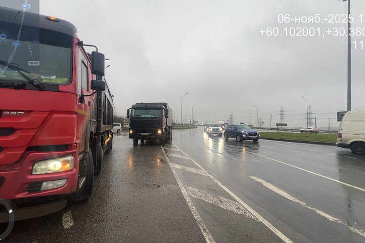 17 перевозчиков отходов проверено Эконадзором во Всеволожском районе