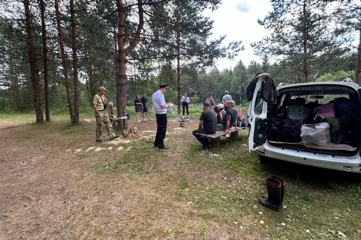 В лесах Выборгского, Приозерского, Волховского и Волосовского района проведены рейды