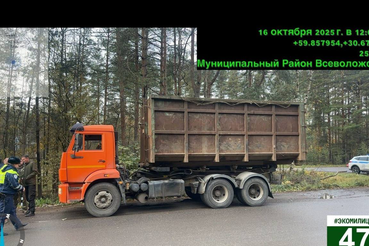 Охрана природы начинается с порядка: успешный экорейд во Всеволожском районе.