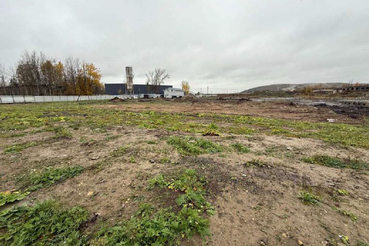 Экологические нарушители платят сотни миллионов за восстановление экосистемы!