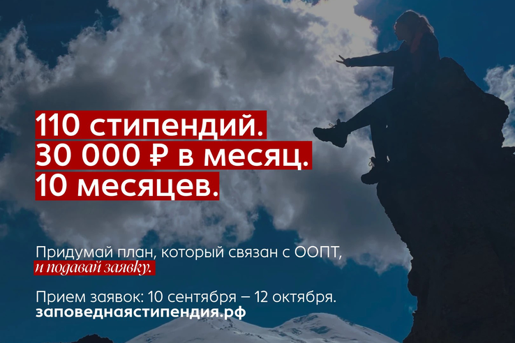 Студенческий проект для заповедников: стартовал конкурс на стипендию Президентского фонда природы