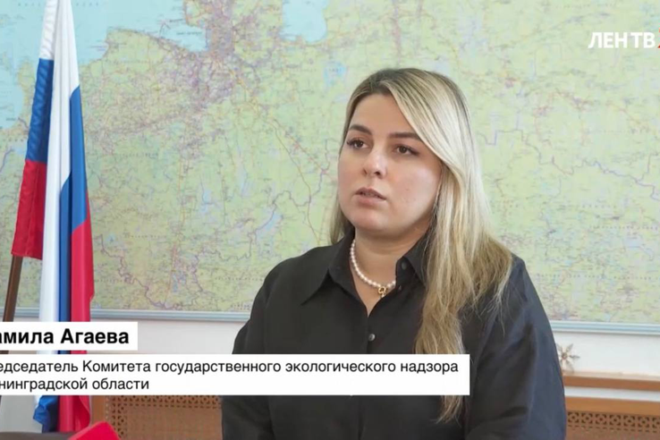 Эконадзор готовит иск против захватчиков лесных угодий и берега озера Нахимовское.