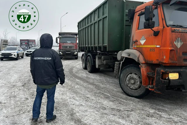 Мимо не проскочишь: во Всеволожском районе в ходе проверки Эконадзора остановлено 33 автомобиля