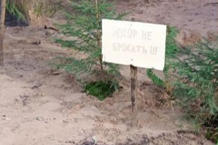 В границах СНТ под Киришами ликвидирована крупная свалка отходов