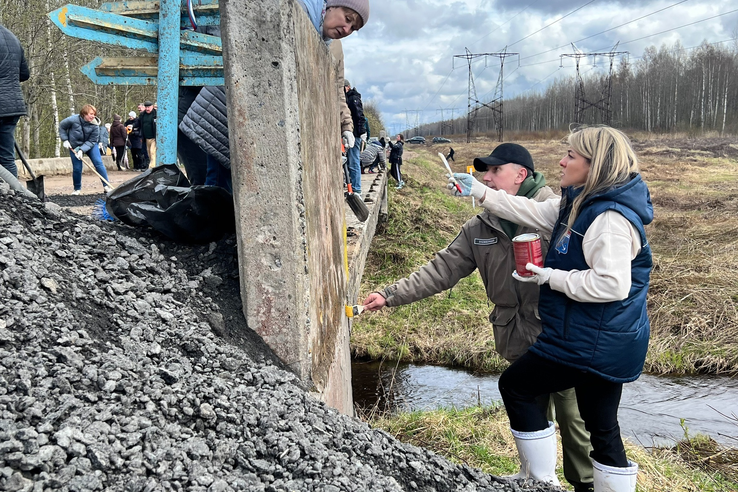 На границе Приладожского и Мгинского поселений состоялся масштабный субботник