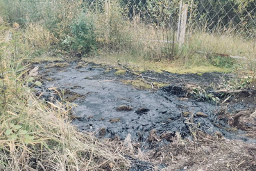 Проинспектирована территория разлива мазута в Выборгском районе