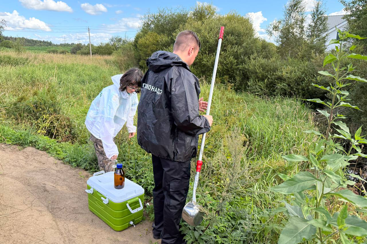 Эконадзор проверил воду в Дранишниковом ручье
