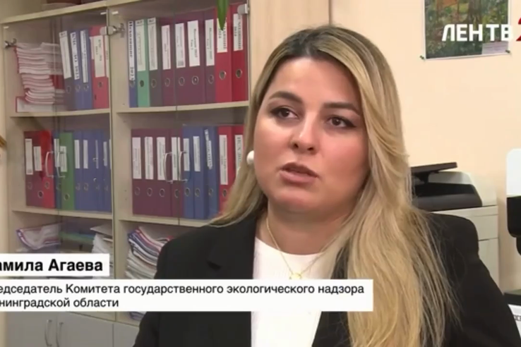 В лесах Ленинградской области работают 92 фотоловушки, которые помогают выявлять нарушителей, устраивающих незаконные мусорные свалки.