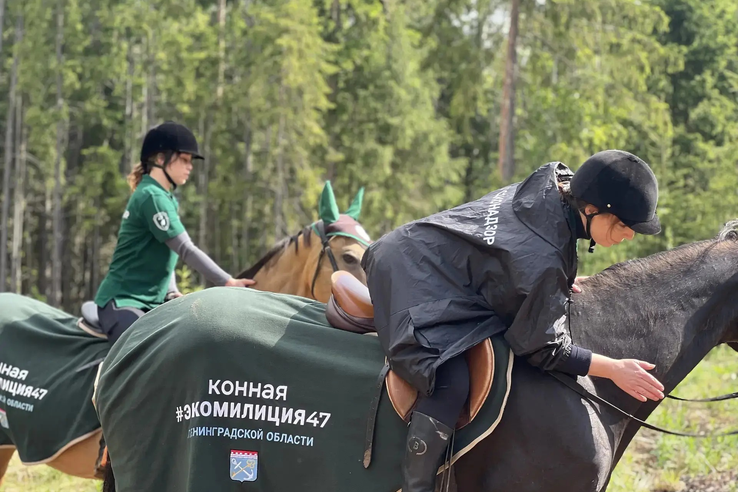 Госэконадзор и конная экомилиция приняли участие в акции по посадке леса в Ленинградской области.