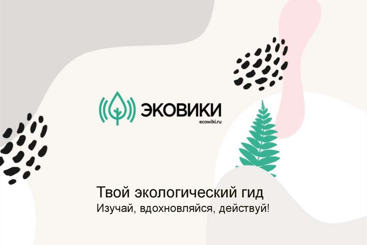Зеленое движение ЭКА приглашает к участию во всероссийских конкурсах
