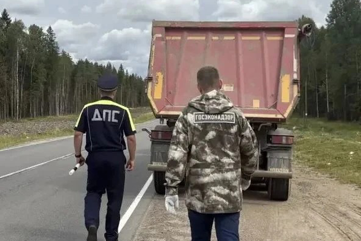 Госэконадзор проверил более 30 перевозчиков отходов в Выборгском районе.