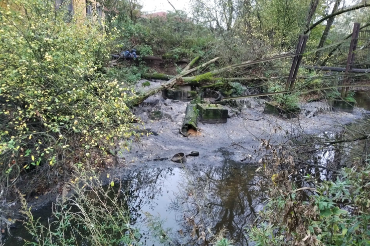 Госэконадзор нашел источники загрязнения реки Святки