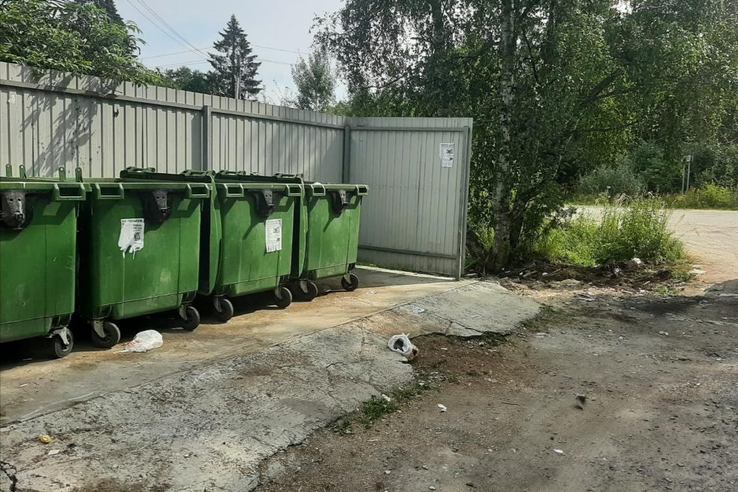 В четырех районах Ленобласти ликвидированы свалки: Эконадзор добивается соблюдения экологических норм.