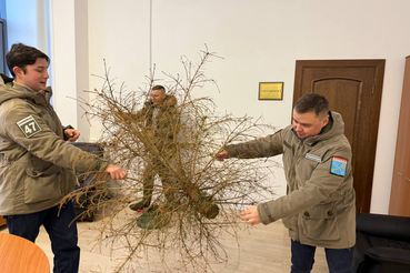 Новый год закончился, а елка осталась