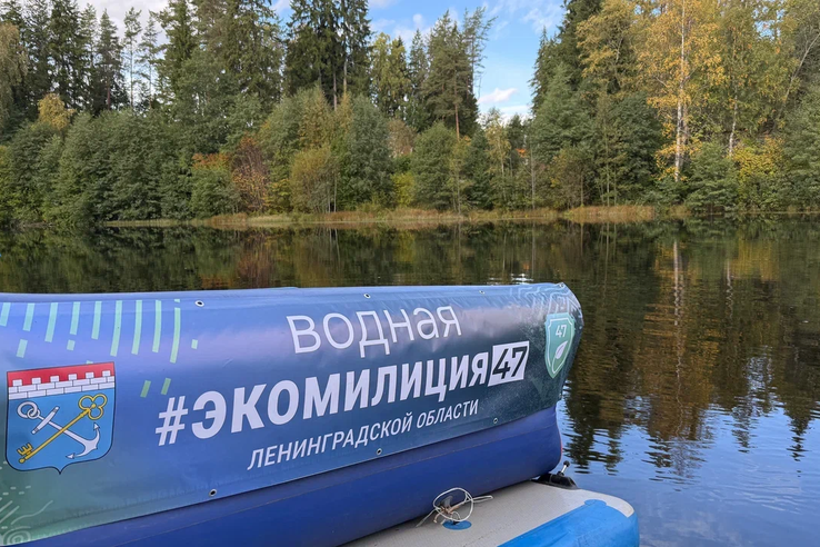 В Рощино проверили доступ жителей к берегам реки Нижняя и ручья Лихой