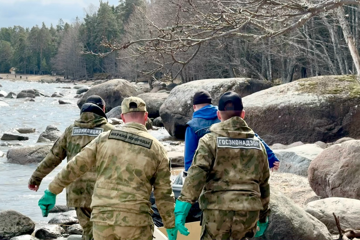 200 человек от Правительства Ленинградской области вышли на субботник на побережье Финского залива