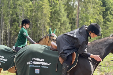 Госэконадзор и конная экомилиция приняли участие в акции по посадке леса в Ленинградской области.