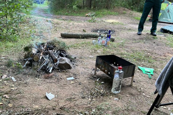 Административные меры в лесах Ломоносовского района