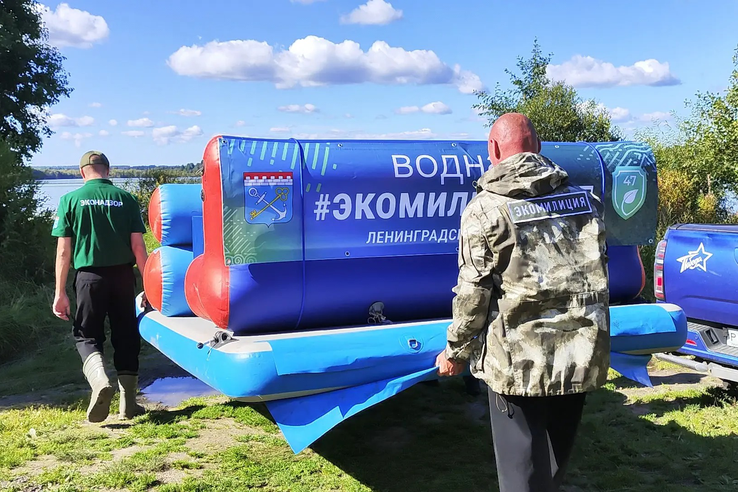 На озере Победное водная Экомилиция проверила возможные источники замора рыбы.
