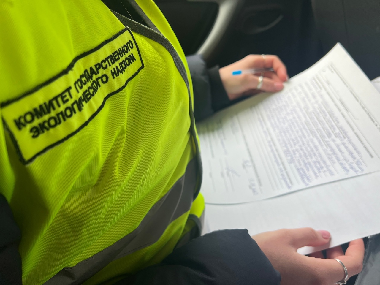 День леса. Штраф. Ленинградская областная экологическая милиция. Эконадзор, ооо. Логотип эконадзор.